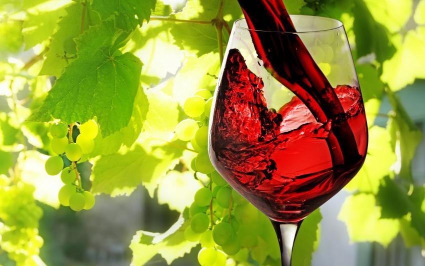 Научные исследования подтвердили пользу красного вина против кариеса