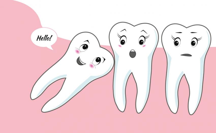 10 интересных фактов о зубах